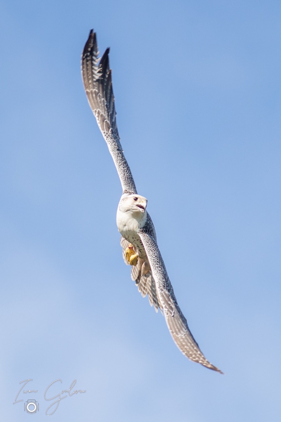 18 april 2022 102422 1DX49349